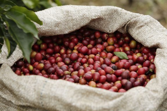 En junio importaciones de café disminuyeron un 30%