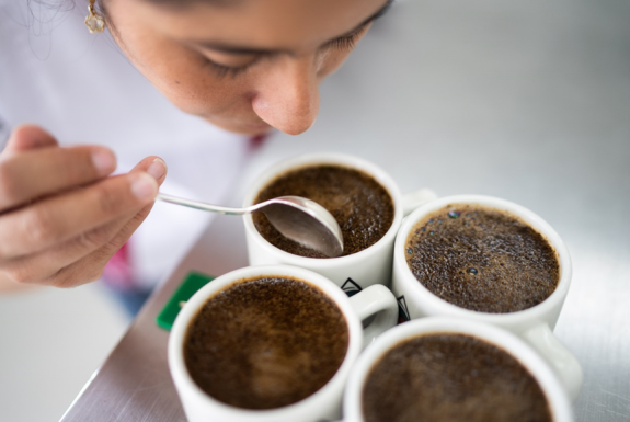 750 lotes de café se inscriben en 8º concurso Colombia, Tierra de Diversidad